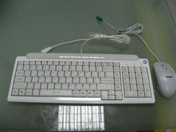 神舟新瑞L3900e一體電腦 簡約設(shè)計(jì)與實(shí)用性能的融合典范